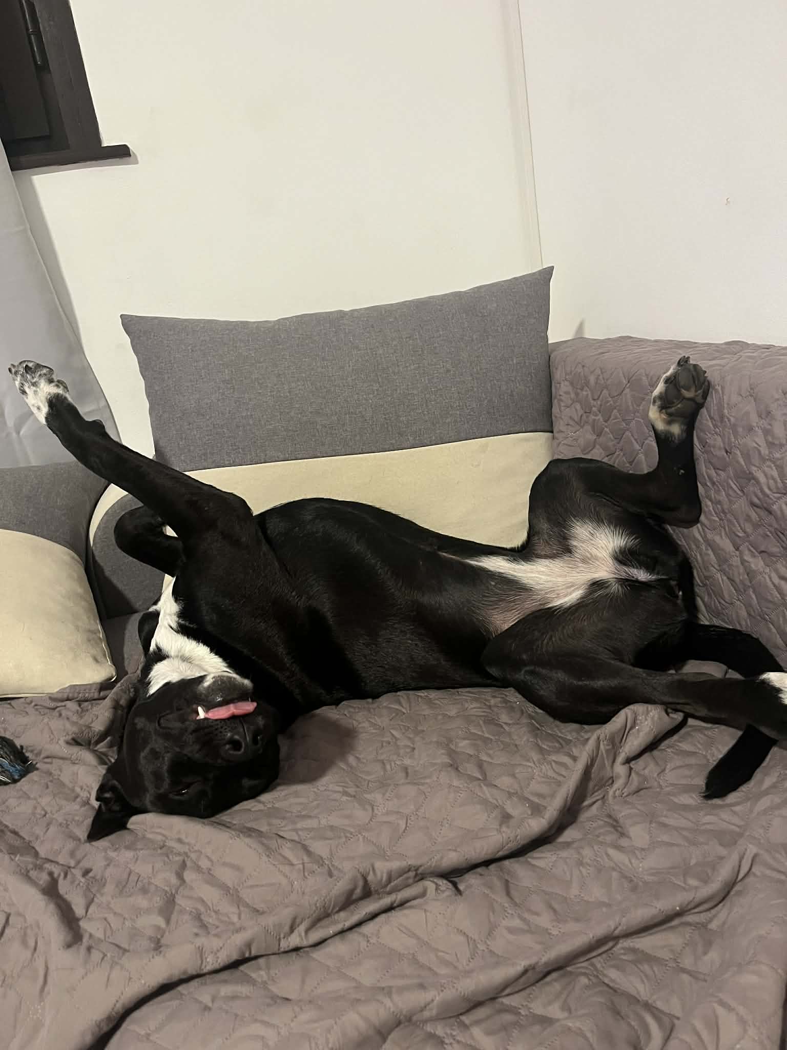 0e3627e0-e058-42db-8734-a3f89b9f89ef 0e3627e0-e058-42db-8734-a3f89b9f89ef