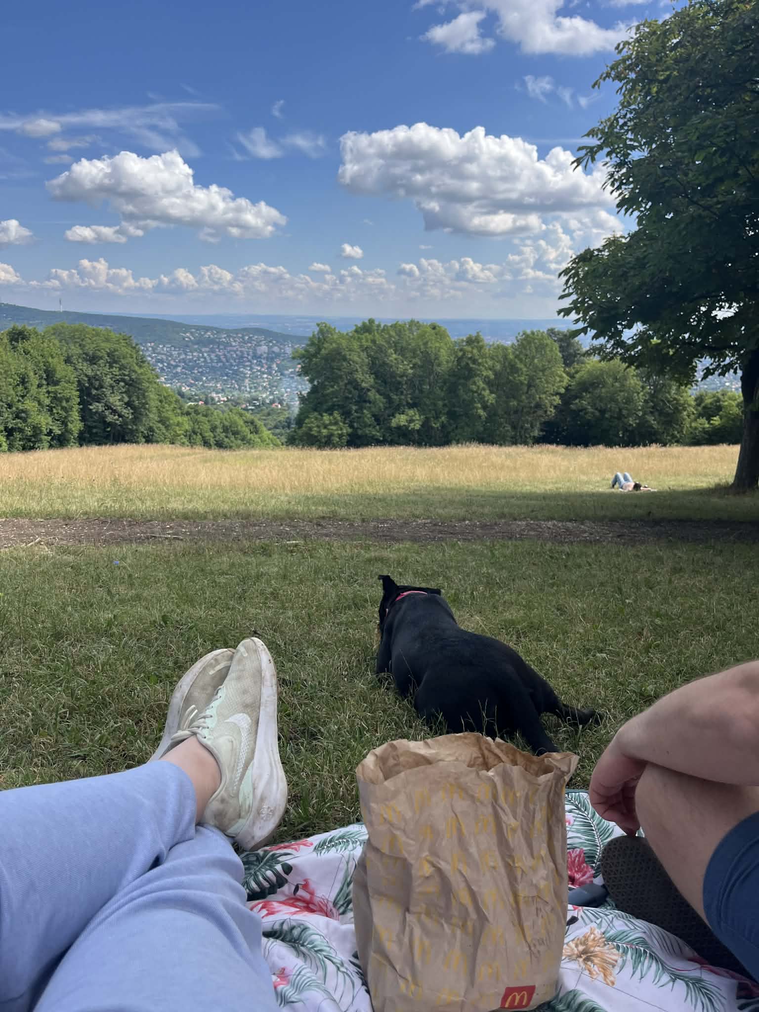 587d1db2-ea78-430d-b1f0-08ff7324e6f6 587d1db2-ea78-430d-b1f0-08ff7324e6f6